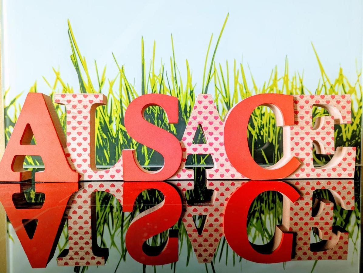 Citycosy-Strasbourg: Boston Espla 외부 사진